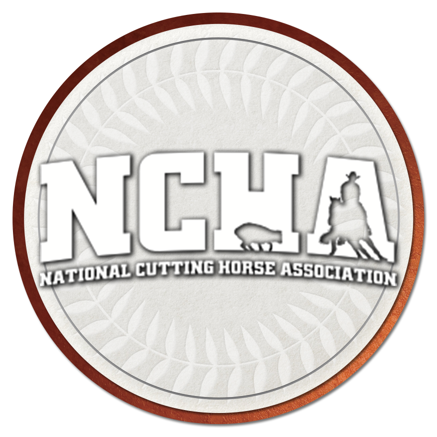 NCHA Super Stakes